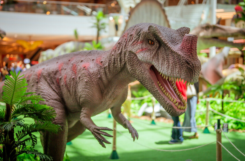  Maior exposição de dinossauros da América Latina chega ao RioMar Recife